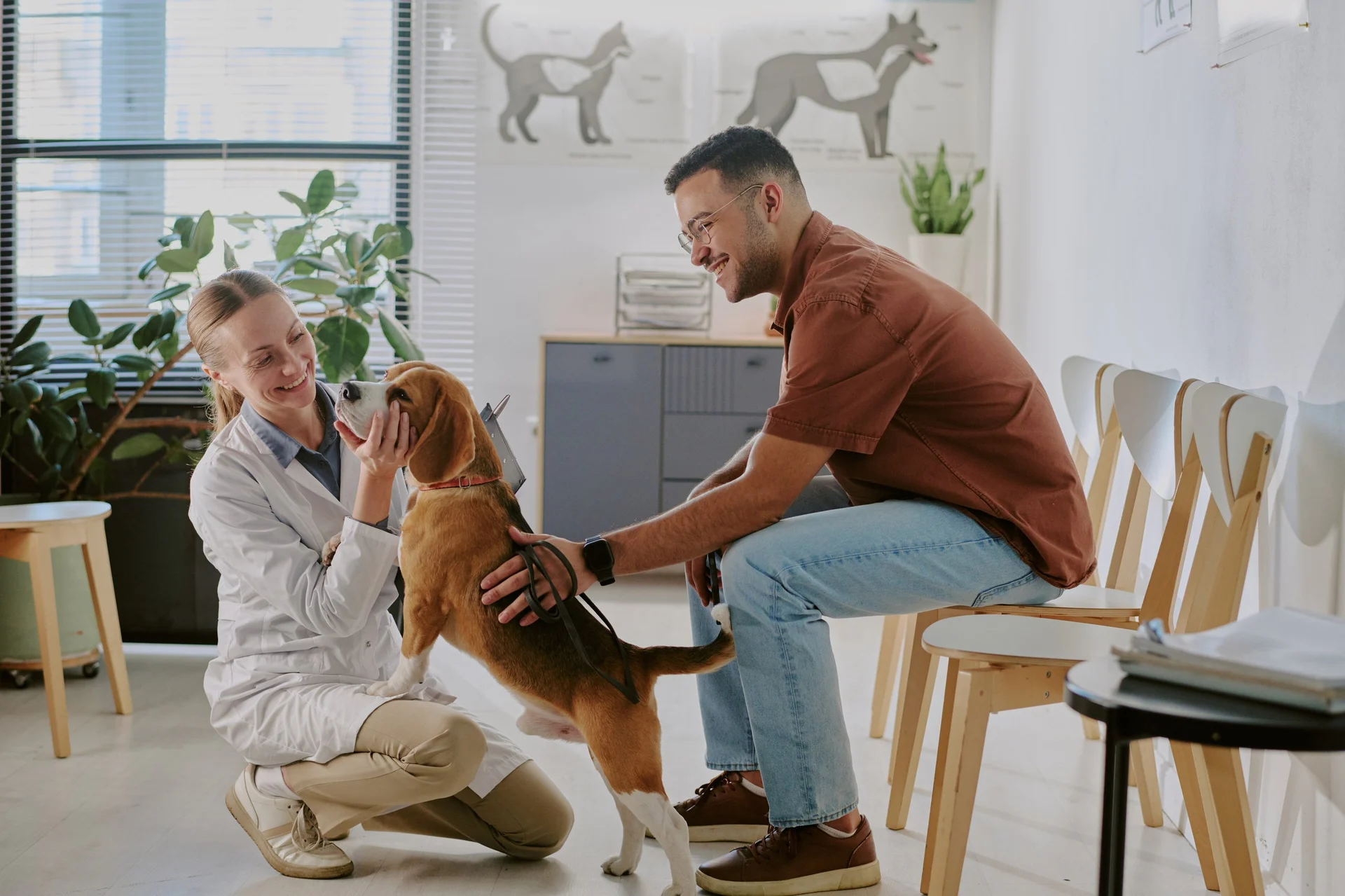 Vétérinaire examinant un chien dans une clinique lumineuse